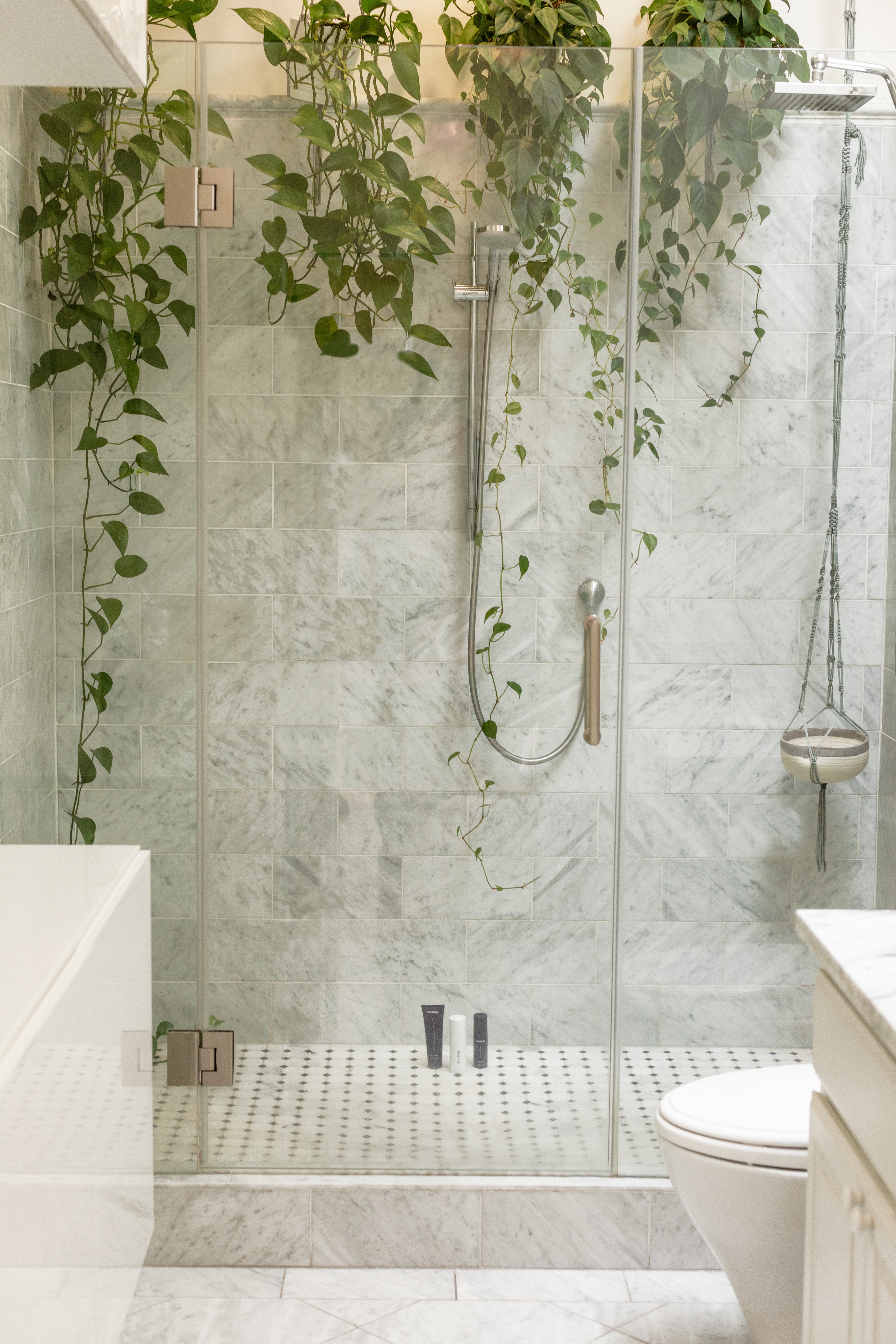 A luxurious bathroom with a big bathtub, tall plant, and a ladder used to display towels